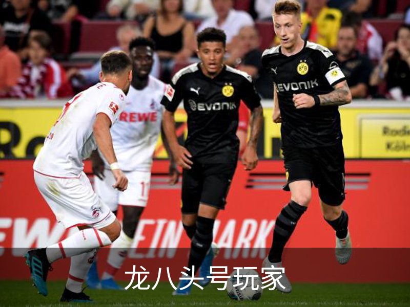 走进龙八头号玩家